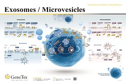 Exosome and Microvesicle Markers