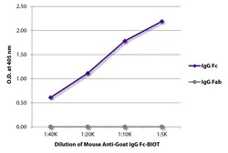 Mouse Anti-Goat IgG (Fc) antibody [SB115d] (Biotin). GTX04167-02