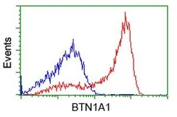 Anti-BTN1A1 antibody [5E6] used in Flow cytometry (FACS). GTX84775